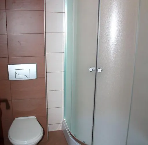 Iris 普罗夫迪夫