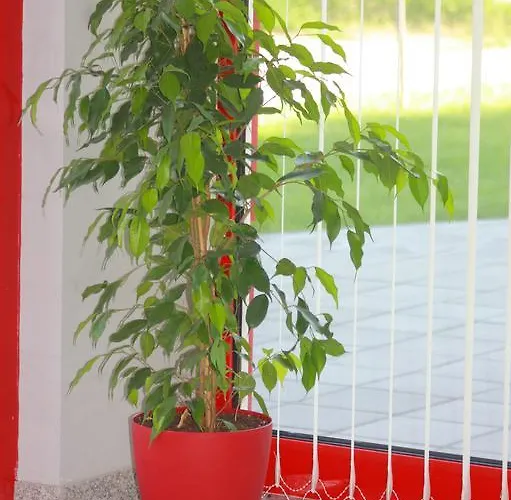 Ξενοδοχείο Iris Φιλιππούπολη